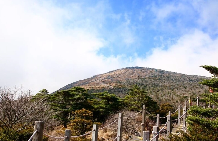 濟州島漢拏山攻略 濟州島漢拏山攻略