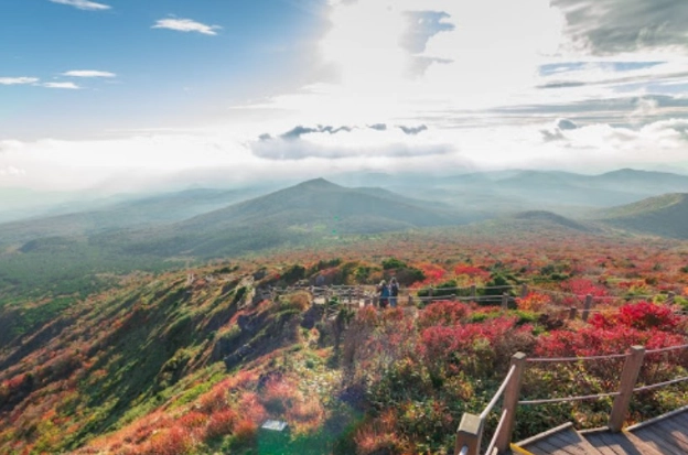 漢拿山登山 漢拿山登山