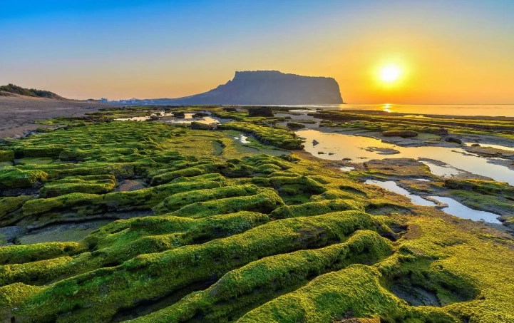 濟州島徒步旅行 濟州島徒步旅行