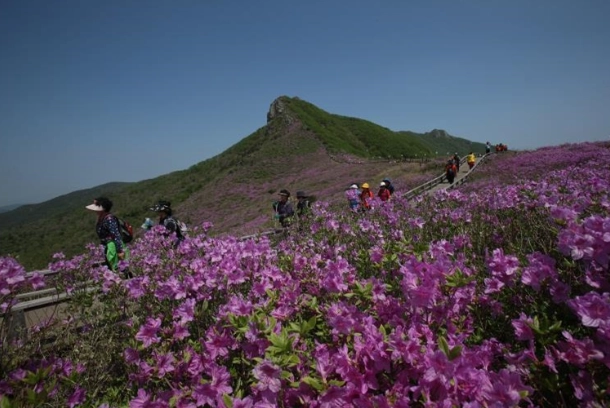 漢拿山路線時間 漢拿山路線時間
