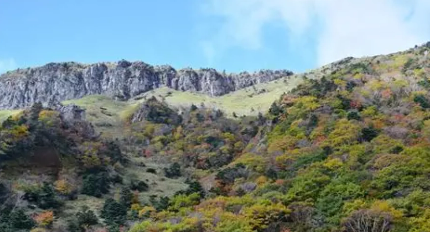 漢拿山登山申請 漢拿山登山申請