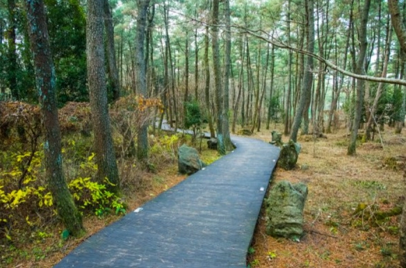 漢拿山路線 漢拿山路線