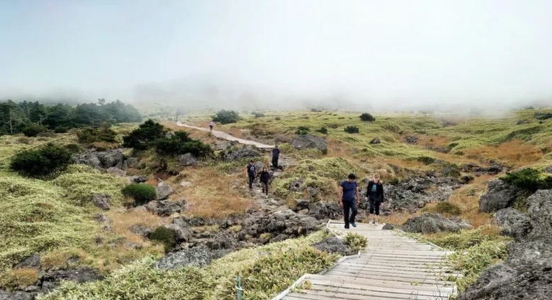 御里牧登山體驗 御里牧登山體驗