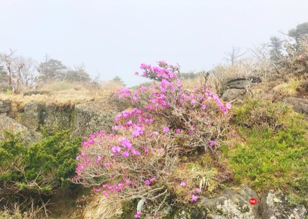 漢拿山難度 漢拿山難度