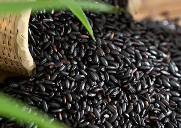 黑米對狗的好處 黑米對狗的好處