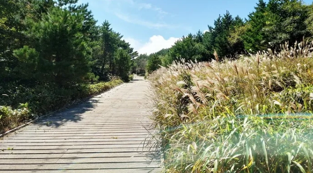 漢拿山登山攻略 漢拿山登山攻略