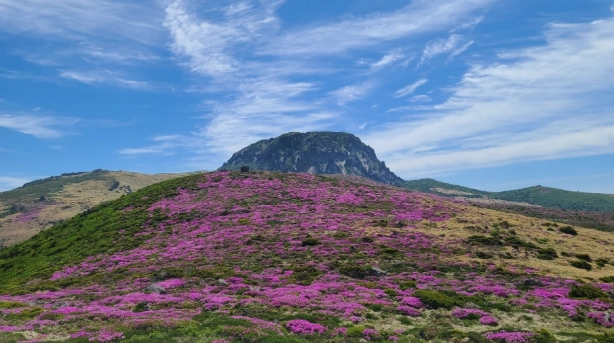 漢拿山路線時間 漢拿山路線時間