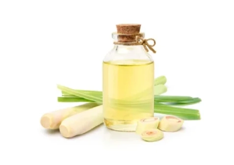 狗狗 香茅油 中毒 狗狗 香茅油 中毒