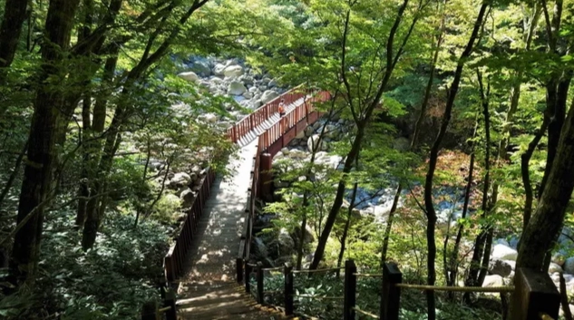 漢拿山登山攻略 漢拿山登山攻略
