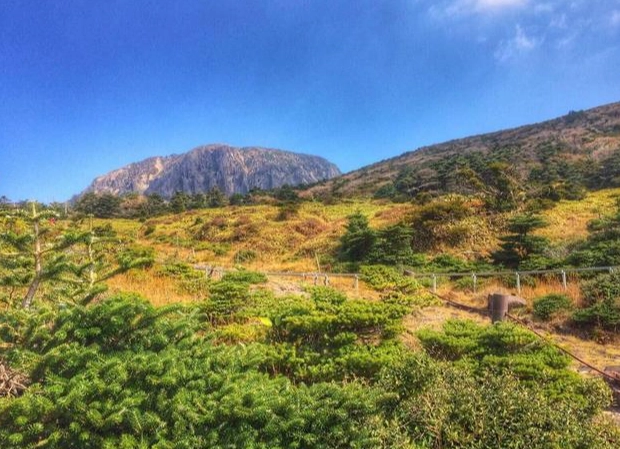濟州島漢拿山 濟州島漢拿山
