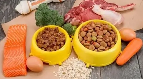 狗狗健身飲食 狗狗健身飲食