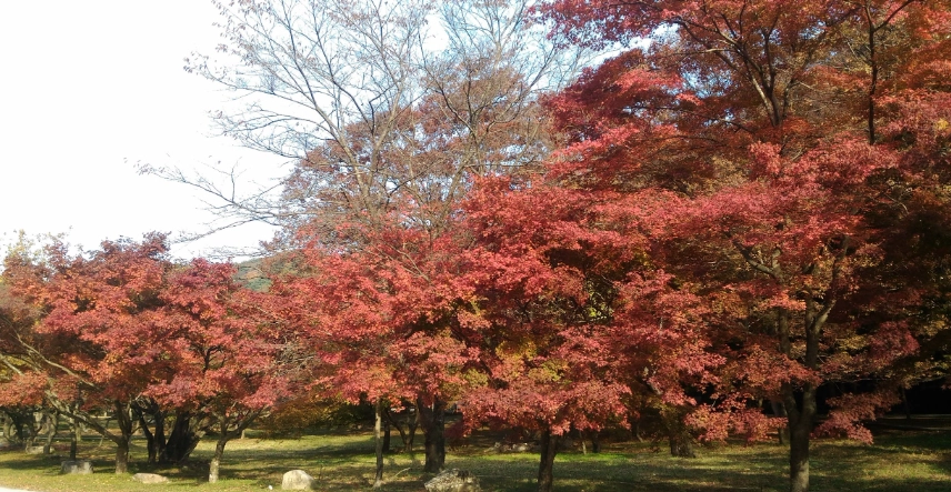 濟州島登山 濟州島登山