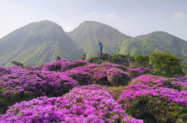 漢拿山登山規劃 漢拿山登山規劃