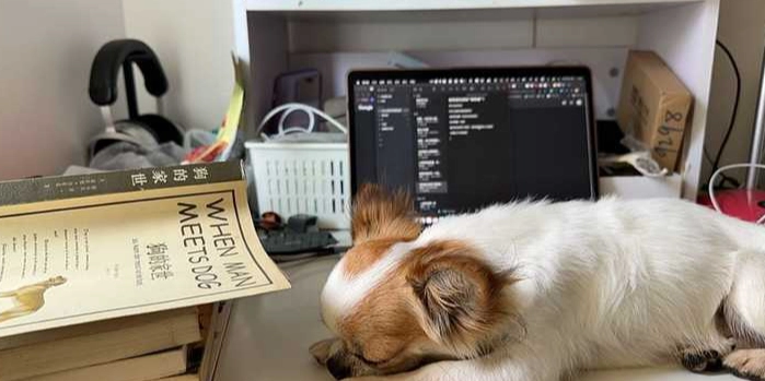 狗狗睡眠姿勢 狗狗睡眠姿勢
