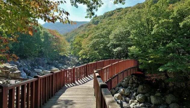 濟州島登山路線 濟州島登山路線