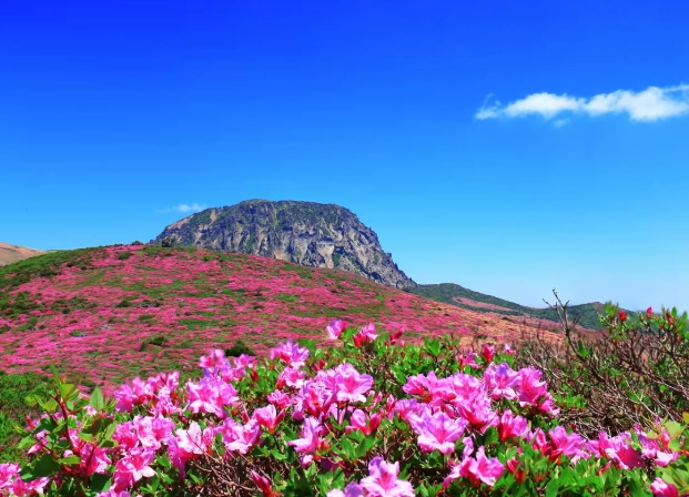 濟州島漢拿山 濟州島漢拿山