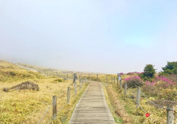 漢拿山登山路線 漢拿山登山路線