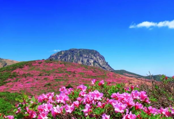 漢拿山路線時間 漢拿山路線時間