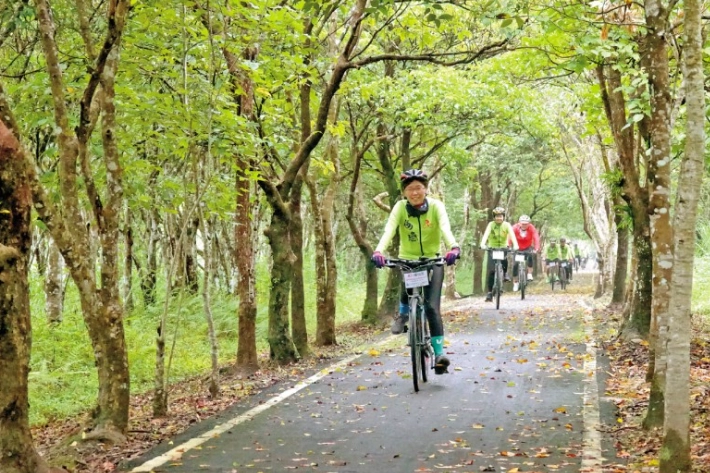 桃園健行路線 桃園健行路線