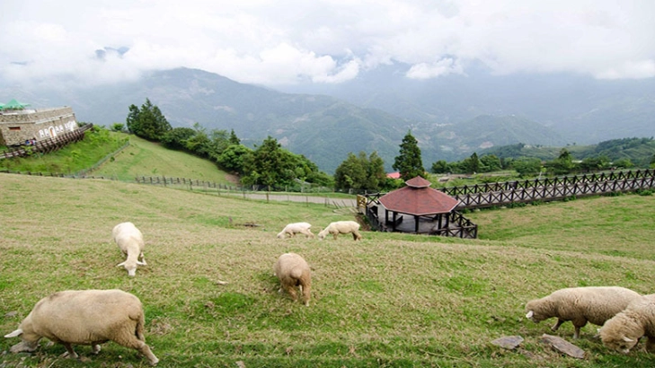南投不開車旅遊 南投不開車旅遊