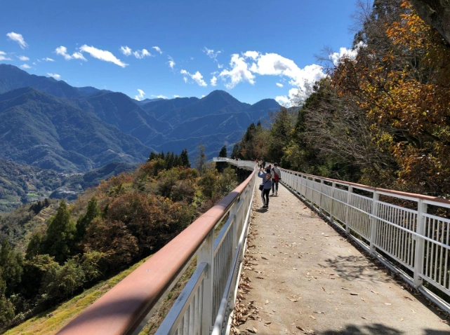清境農場旅遊 清境農場旅遊