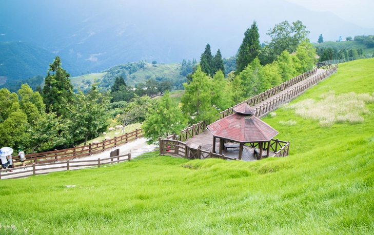 清境農場無車旅行 清境農場無車旅行