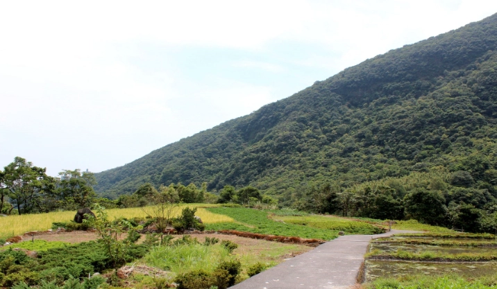 八煙聚落旅遊