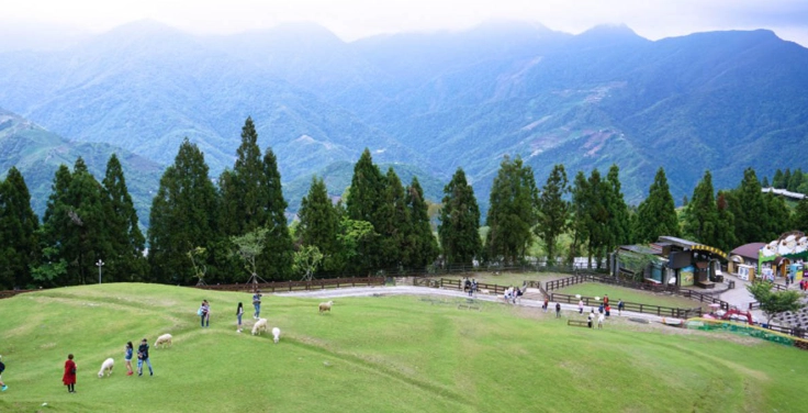 清境農場無車旅行 清境農場無車旅行