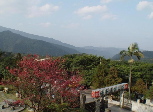 烏來露營地比較 烏來露營地比較