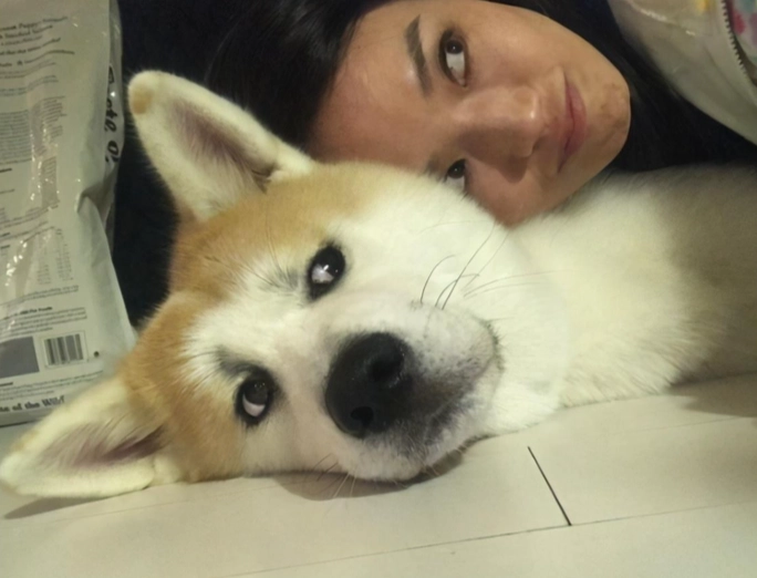 狗狗不親近主人 狗狗不親近主人