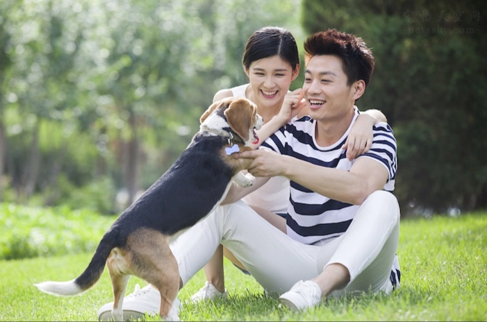 讓狗變親人方法 讓狗變親人方法