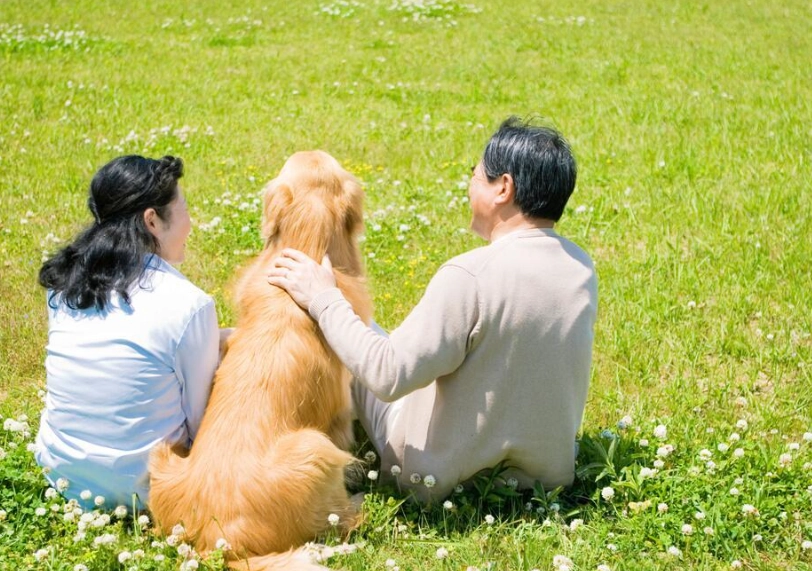 狗親人訓練 狗親人訓練