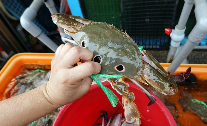 龜吼漁港美食 龜吼漁港美食