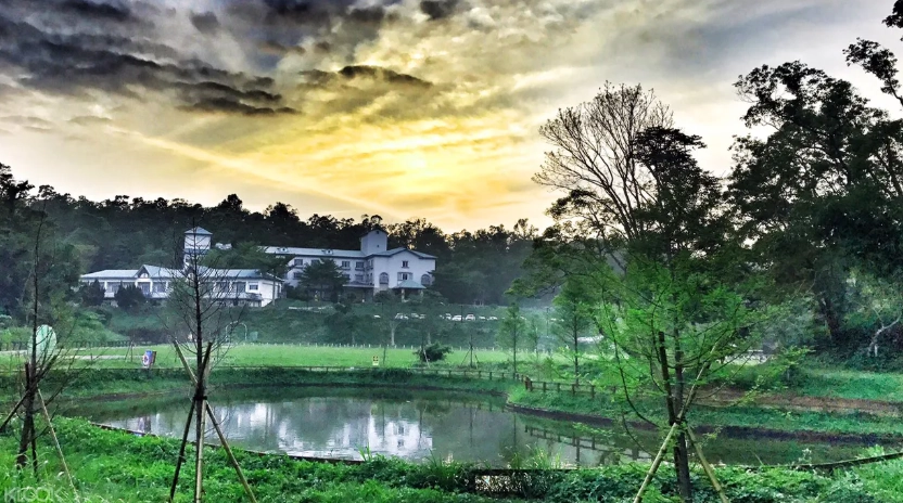苗栗西湖渡假村旅遊 苗栗西湖渡假村旅遊