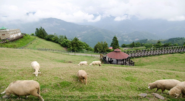 清境農場旅遊 清境農場旅遊