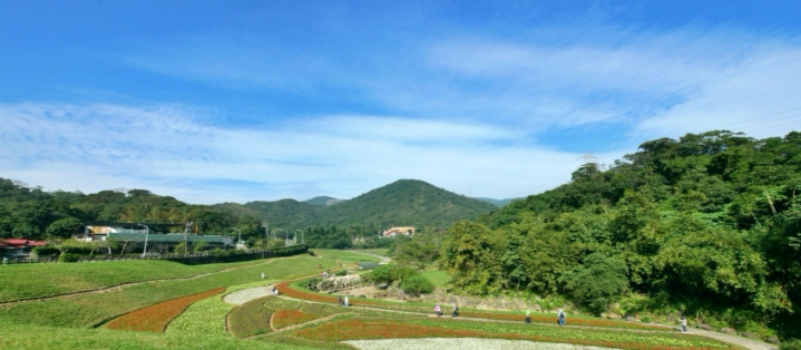 桃園不用錢好玩的地方 桃園不用錢好玩的地方