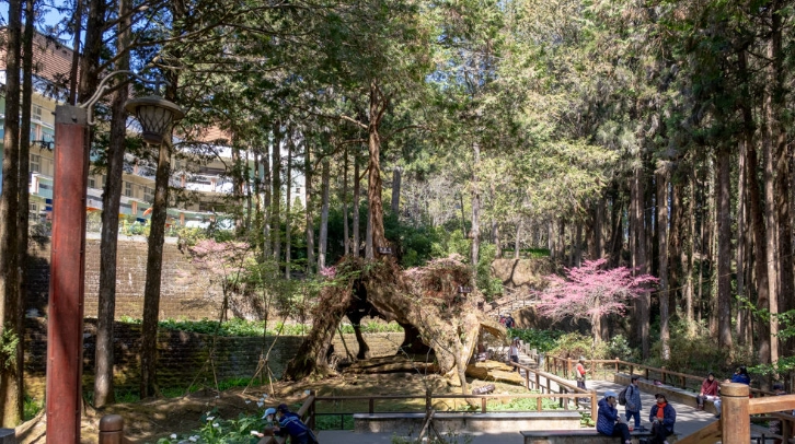 阿里山寵物友善景點