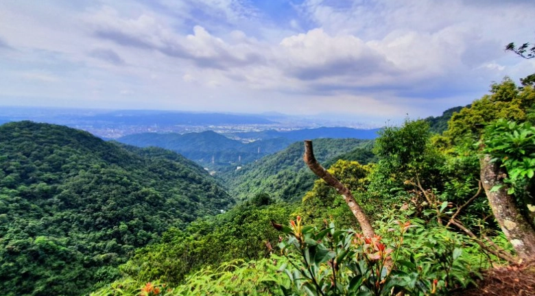 白雞山登山難度 白雞山登山難度
