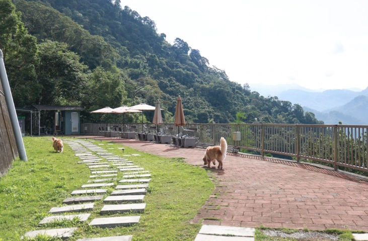 阿里山帶寵物旅遊 阿里山帶寵物旅遊