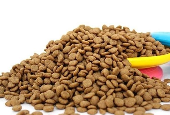 皇家狗飼料推薦 皇家狗飼料推薦