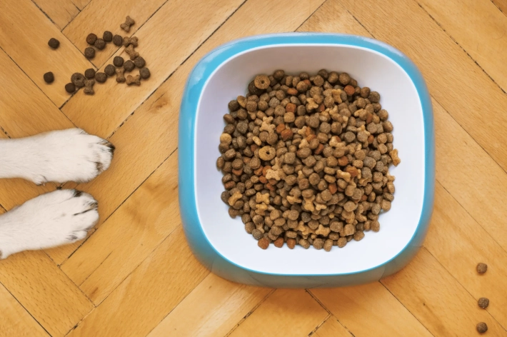 皇家飼料問題