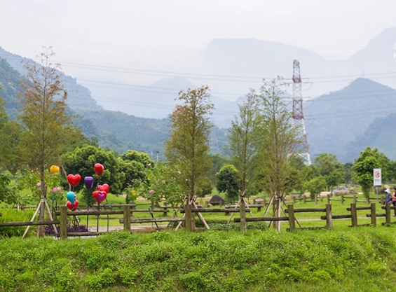 桃園免費景點 桃園免費景點