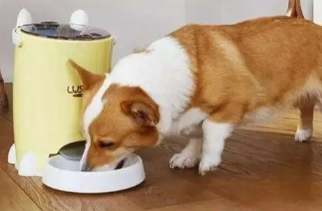 農藥中毒急救