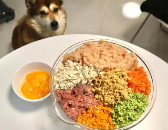 自製狗食 自製狗食