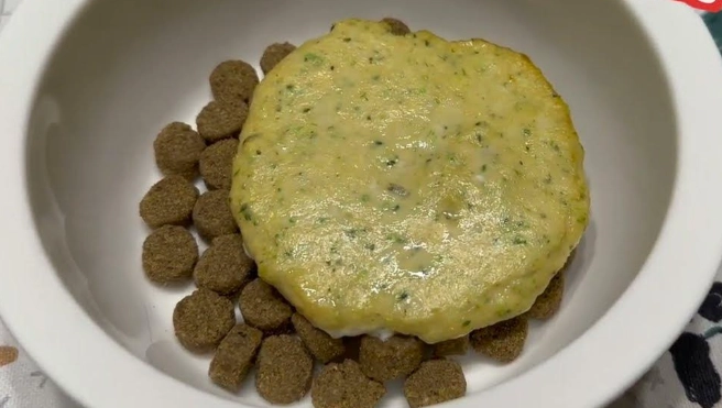 自製狗食 自製狗食