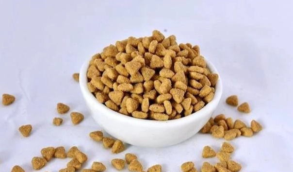 皇家狗飼料優缺點 皇家狗飼料優缺點