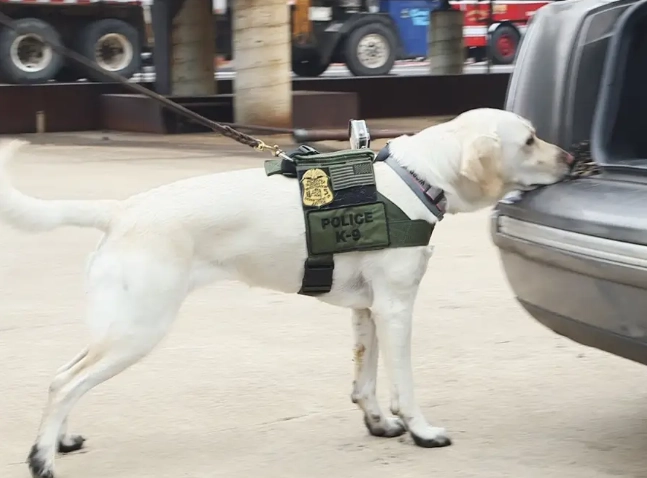 報警注意事項 報警注意事項
