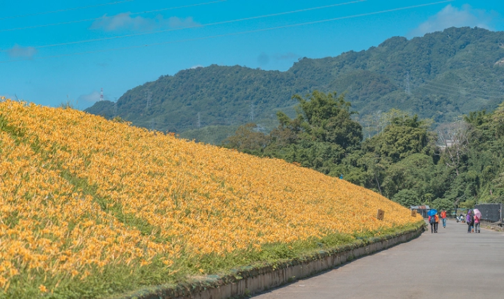 大湖草莓園 大湖草莓園