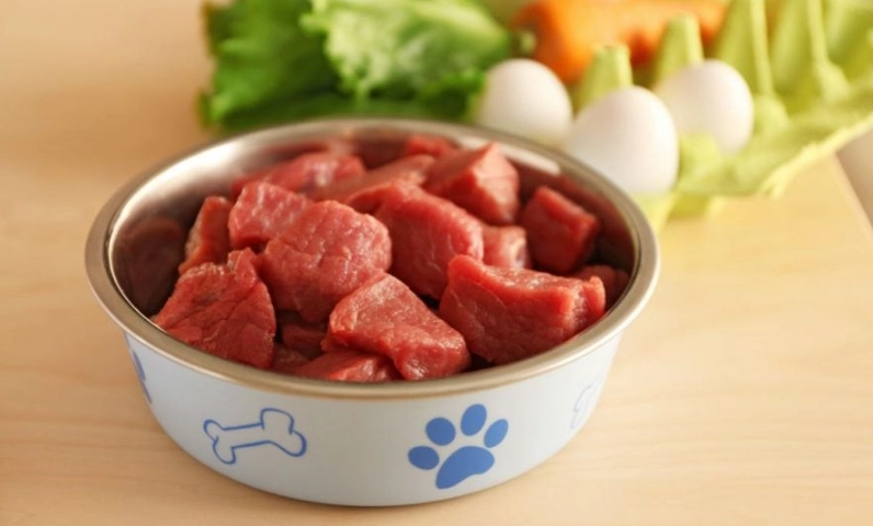 狗狗一天吃一餐 狗狗一天吃一餐