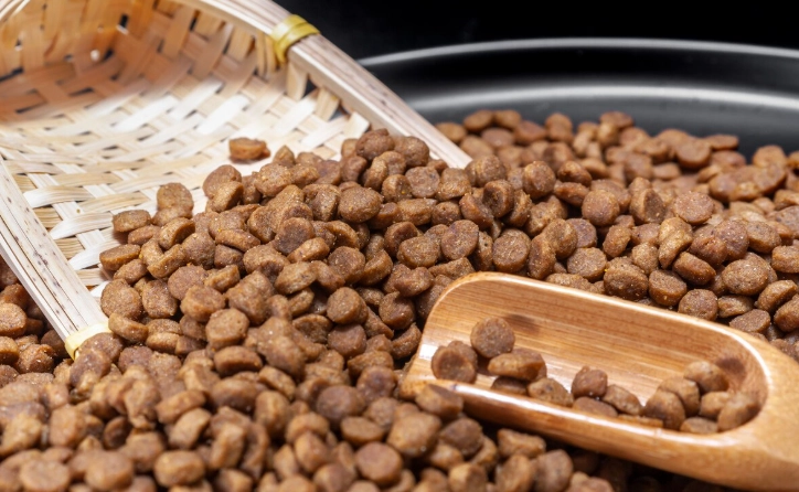 狗飼料推薦 狗飼料推薦